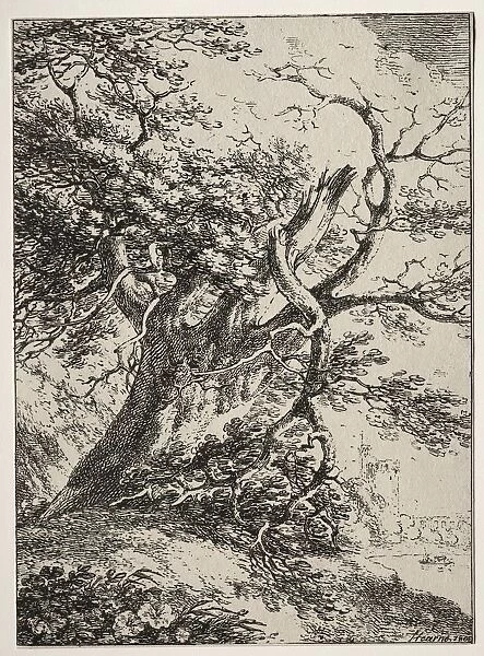 Specimens of Polyautography: Landscape with an Oak Tree, 1803. Creator: Thomas Hearne (British