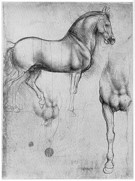 Studies of Horses, c1490 (1954)