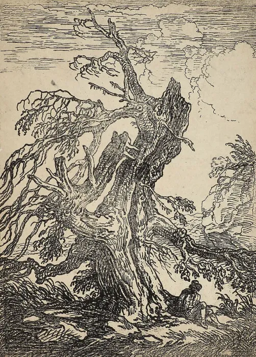 Framed Print : Raphael Lamar West Print: Study of a Tree, 1802 Framed Print : Raphael Lamar West Print: Study of a Tree, 1802