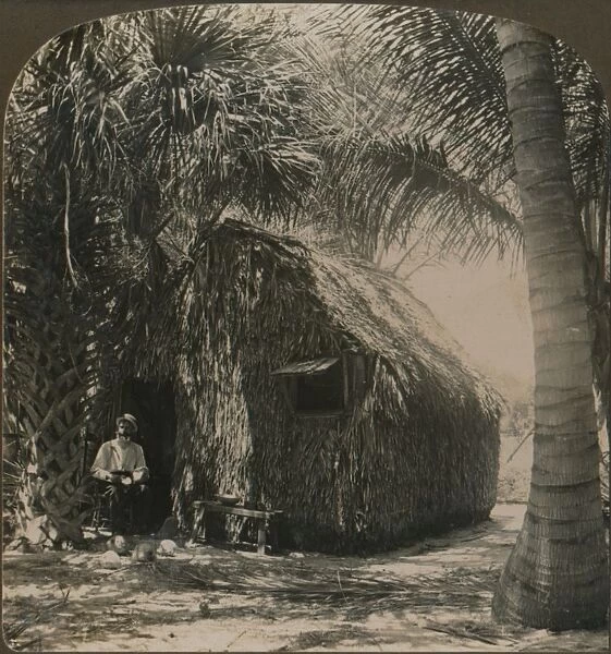 Thatched Cottage in Cocoanut Grove, Florida, U. S. A. c1900