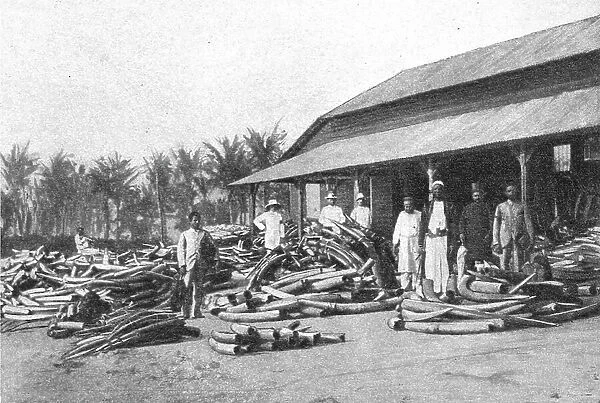 'Un depot d'ivoire dans lAfrique orientale allemande; Afrique Australe, 1914. Creator: Unknown