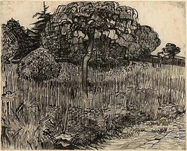 Weeping Tree, 1889. Creator: Vincent van Gogh