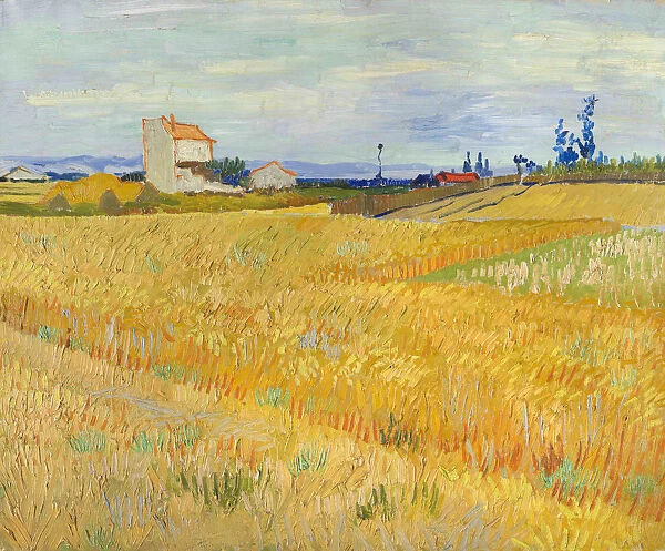 Wheat Field (Champ de ble), 1888