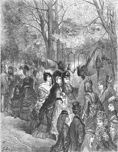 Zoological Gardens - The Parrot Walk, 1872. Creator: Gustave Doré