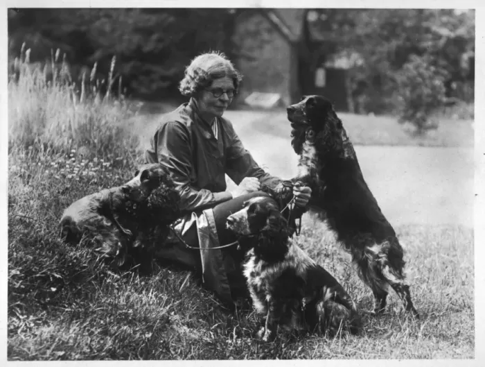 Framed Print : Fall Print of a Woman with Cocker Spaniels Framed Print : Fall Print of a Woman with Cocker Spaniels