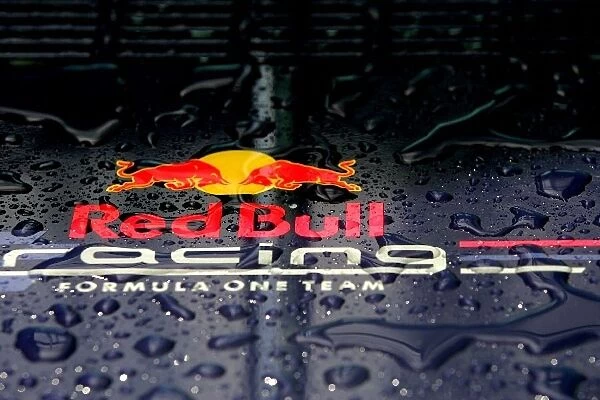 Formula One World Championship: Red Bull Racing logo