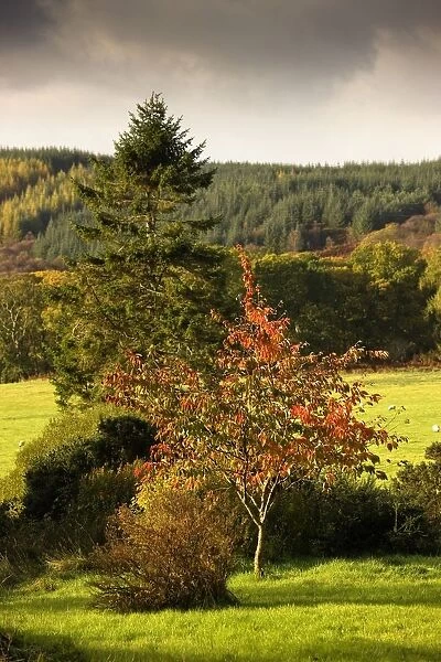 Argyll And Bute, Scotland; Scottish Highlands