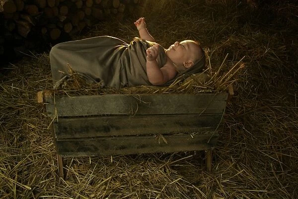 Baby Jesus In The Manger