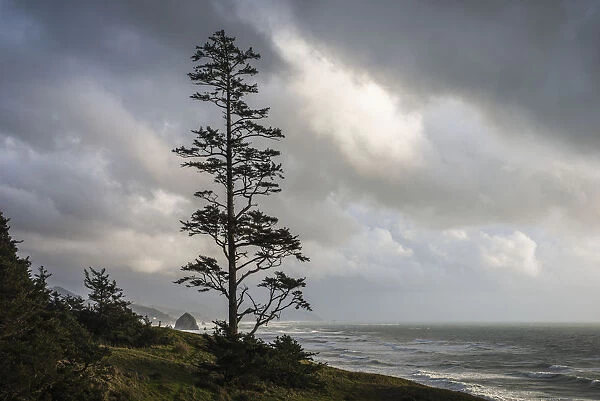 Clouds Cloak The Oregon Coast; Cannon Beach, Oregon, United States Of America