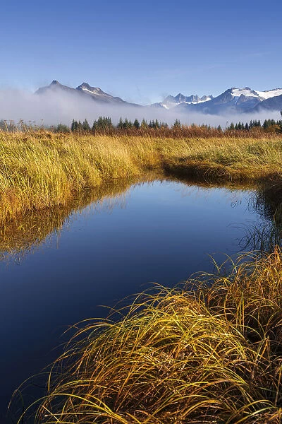 Coast Mountains and Mendenhall Wetlands, Alaska, USA