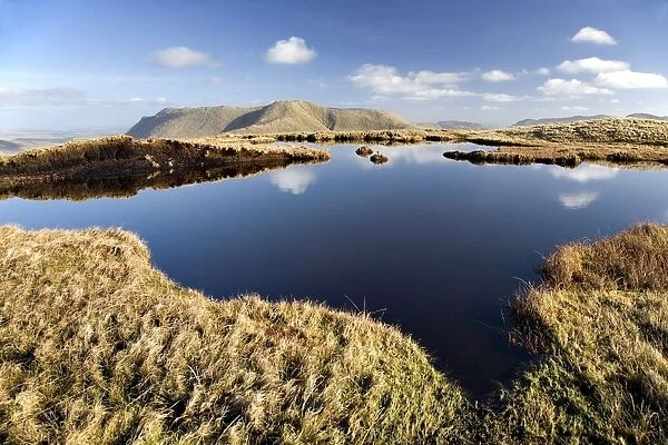 Connemara, Co Galway, Ireland; Bog Pool In The Mountains