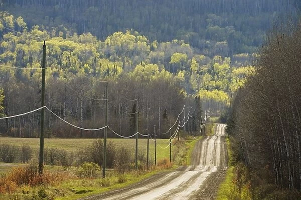 A Country Road With Electrical Wires Running Along It; Thunder Bay, Ontario, Canada