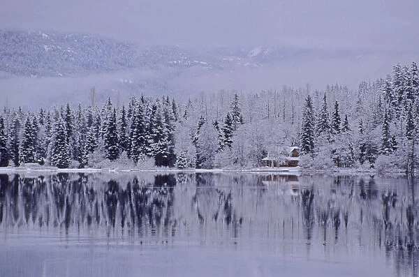 Early Winter Snow Greys The Trees, Reflection In Lake, Alta Lake, Whistler, B. C