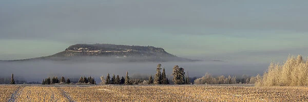 Fog resting over frosty landscape