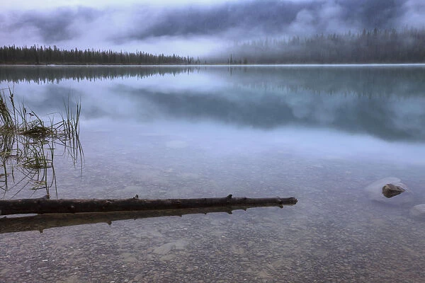 Foggy Morning With Clouds Over Emerald Lake, Yoho National Park, British Columbia