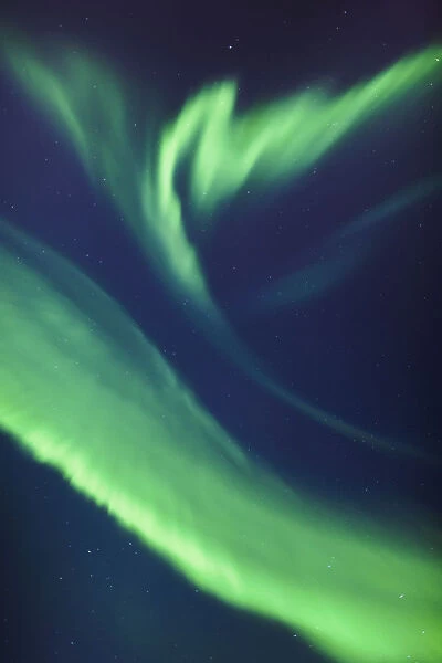 A green northern lights corona in the sky above the tony knowles coastal trail in winter; Anchorage alaska united states of america