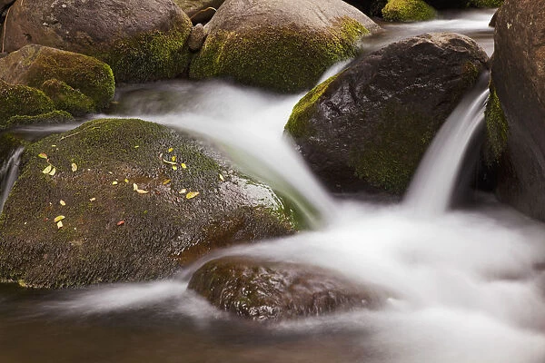 Hawaii, Maui, Iao River Valley, water in motion over rocks