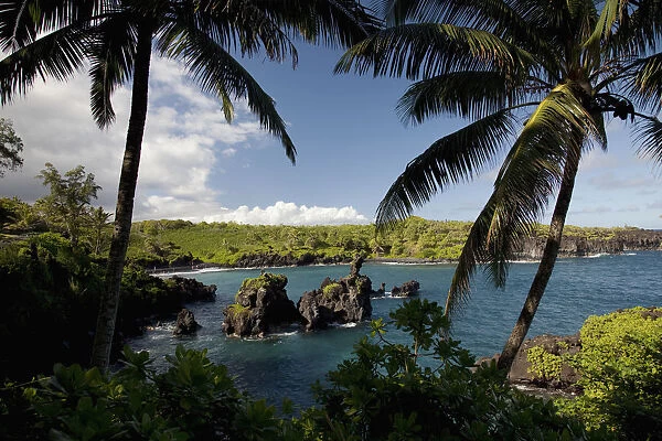 Hawaii, Maui, A sunny view of Waianapanapa from behind palm trees