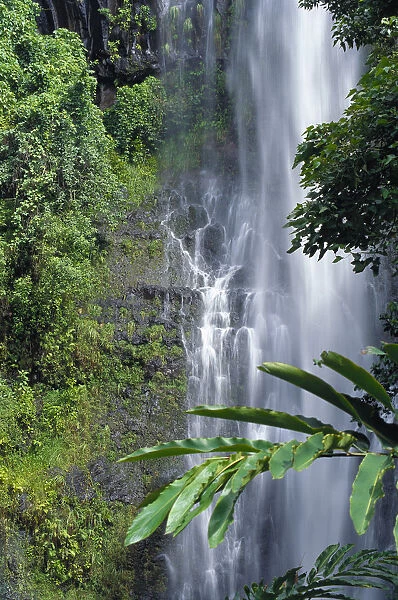 Hawaii, Maui, Wailea Falls, Action Water Flow, Greenery Side Angle