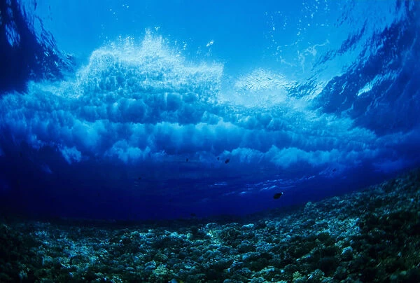 Hawaii, Underwater View Of Wave Breaking Over Coral Reef
