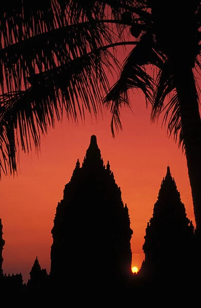 Indonesia, Java, Prambanan, Silhouette Of Temple At Sunset With Palm Tree