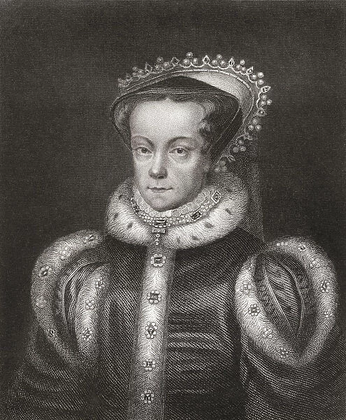 Mary I, 1516