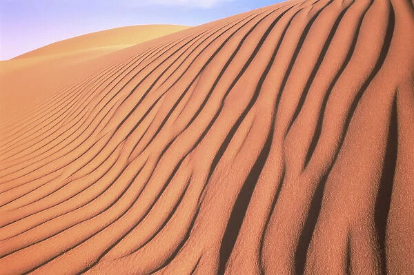 Mesquite Sand Dunes Death Valley National Park California, USA