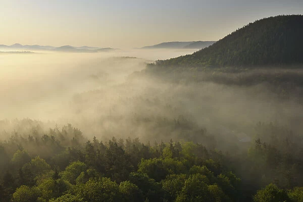 Morning Dust over Landscape, Drachenfels, Busenberg, Pfalzerwald, Rhineland-Palatinate, Germany