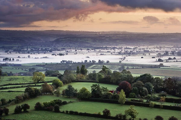 Morning Mist at Somerset, England