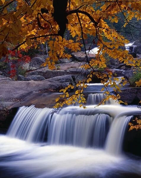 Nesowadnehunk Stream, Rapids, Autumn Colors, Baxter State Park