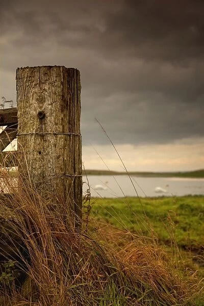 Northumberland, England; A Wooden Fence Post And A Pond In A Field