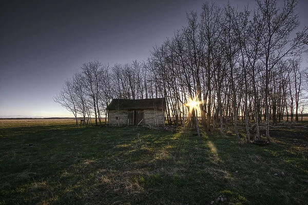 Old Prairie Homestead At Sunset, Northeast Of Fort Saskatchewan, Alberta