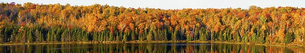Panorama Of Trees Along The Waters Edge In Autumn Colours; South Bolton, Quebec, Canada