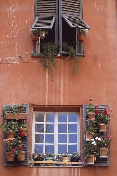 Plants On Window Sill