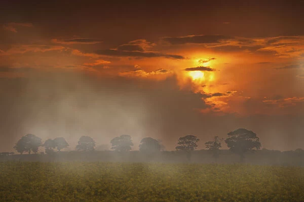 The Red Glow Of A Sunset And Fog Over A Field; Northumberland, England