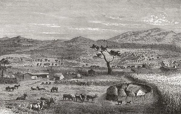A Settlement In Kouihara, West Africa, In The 19Th Century. From El Mundo En La Mano Published 1878