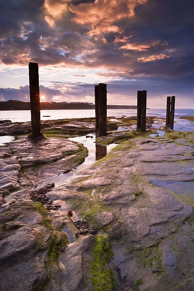 Shoreline, Whitley Bay, North Tyneside, Tyne and Wear, England