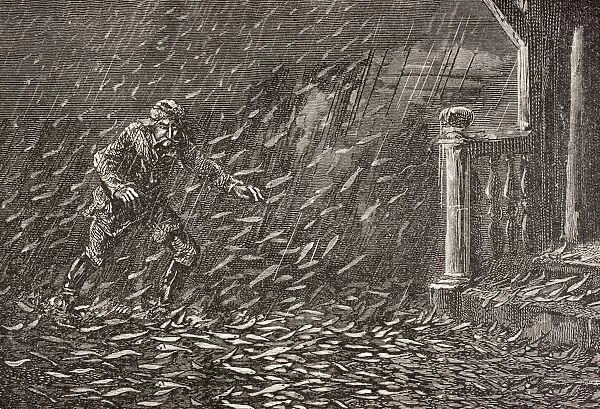 A Shower Of Fish In Transylvania, Romania. From The Book Chips From The Earths Crust Published 1894