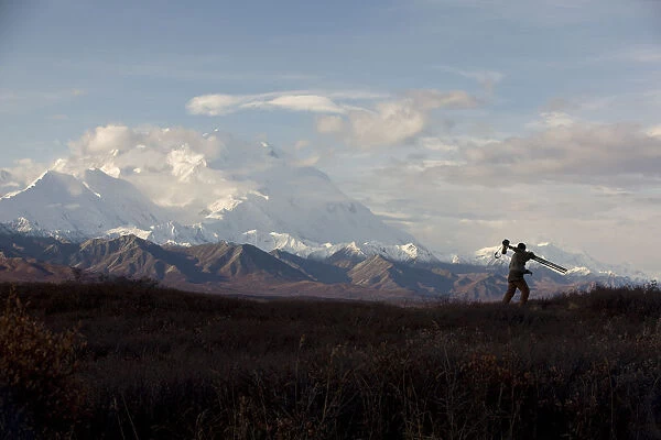 Silhouette Of A Photographer Walking With His Tripod And Camera Over His Shoulder With Mount Mckinley In Background, Denali National Park, Interior Alaska
