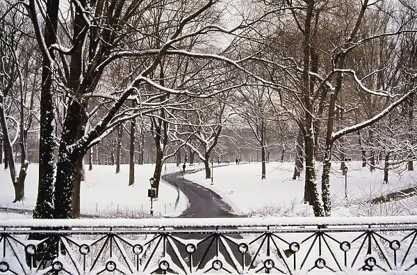 Snow In Central Park