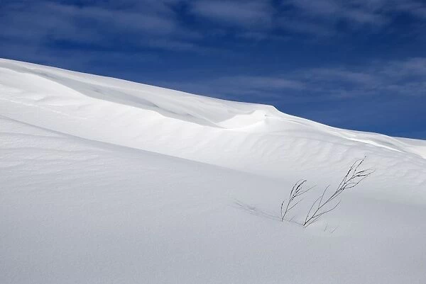 Snow Covered Slope With Blue Sky
