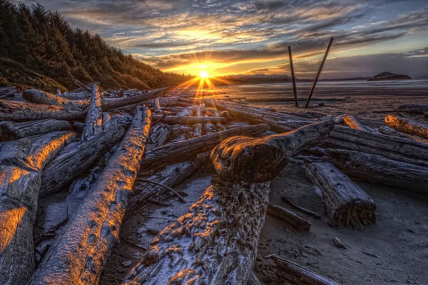 Sunrise Over The Logs At Long Beach, Pacific Rim National Park, British Columbia