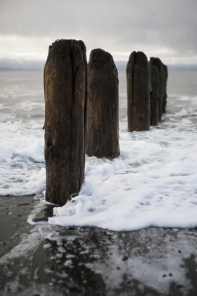 Surf Rising Against Wooden Tide Posts In Kachemak Bay; Alaska, United States Of America