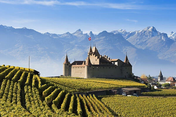 Switzerland, Vineyards and castle; Aigle