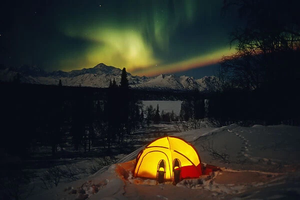Tent Camping Winter Northern Lights Mile 135 Parks Hwy Ak Mt Mckinley Interior Snowshoes