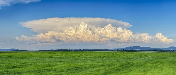 Thundercloud (cumulonimbus) over green field. Bavaria, Germany