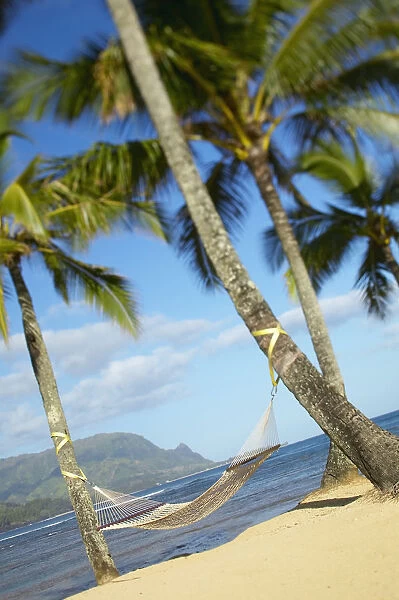 USA, Hawaii Islands, Kauai, Hammock tied between palm trees on sandy beach; Hanalei Bay Princeville