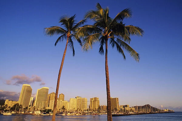 USA, Hawaii, Oahu, Honolulu, Plam trees and Waikiki shoreline; Waikiki