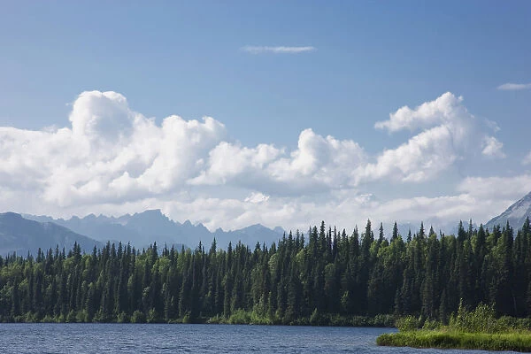 View Of The Alaska Range From Byers Lake, Summer, Denali State Park, Southcentral Alaska