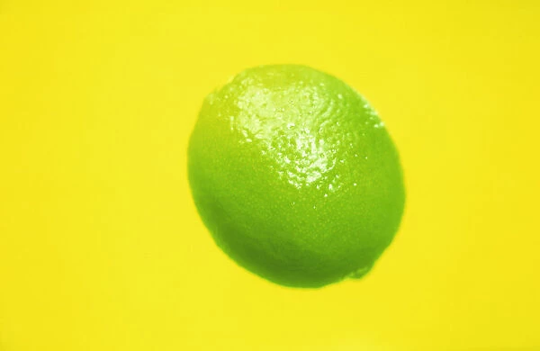 CS_FV183. Citrus aurantiifolia. Lime. Green subject. Yellow b / g